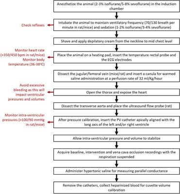 Assessing Rodent Cardiac Function in vivo Using Hemodynamic Pressure-Volume Loops